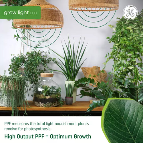 GE Grow LED Light Bulbs for Fruits and Flowering A19 Bulbs 9 Watts