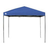 Instant Canopy, Blue, 10 x 10-Ft.