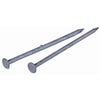 Galvanized Common Nail, 2.5-In., 8-D, 1-Lb.