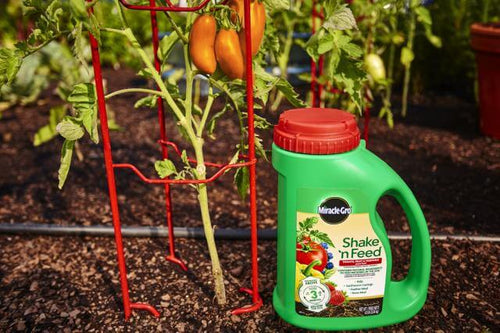 Miracle-Gro® Shake 'n Feed® Tomato, Fruit & Vegetable Plant Food