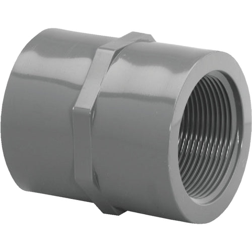 Charlotte Pipe 1/2 In. FIP x FIP PVC Coupling