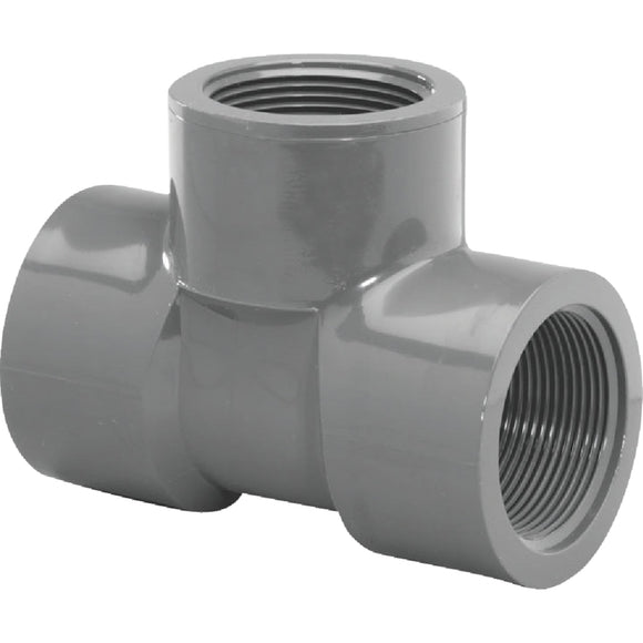 Charlotte Pipe 1/2 In. FIP Schedule 80 PVC Tee