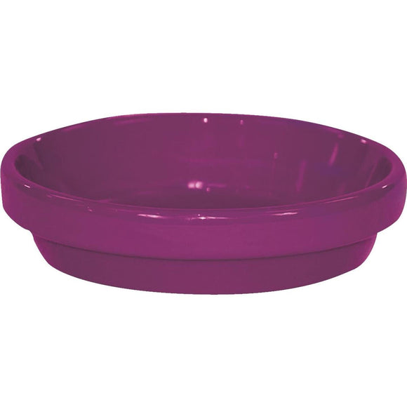 Ceramo Spring Fever 6 In. Violet Clay Flower Pot Saucer