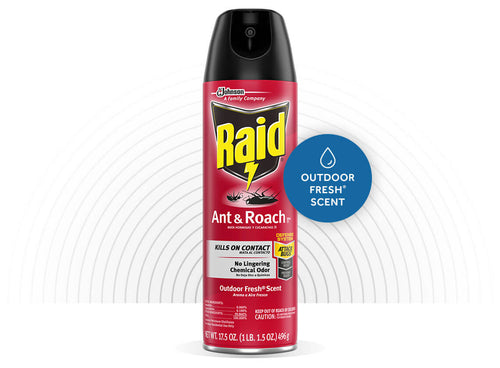 RAID® ANT & ROACH KILLER 26