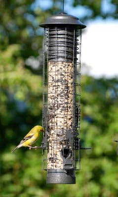 WoodLink Large Dragonfly Tube Feeder